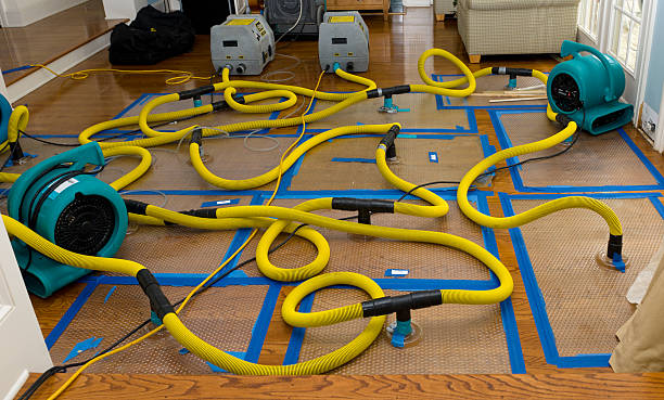 Professional Burst Pipe Water Damage technician working in Walled Lake, MI