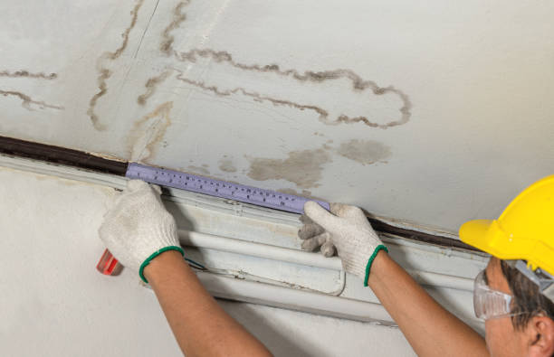 Affordable Water Damage Repair solutions in Walled Lake, MI